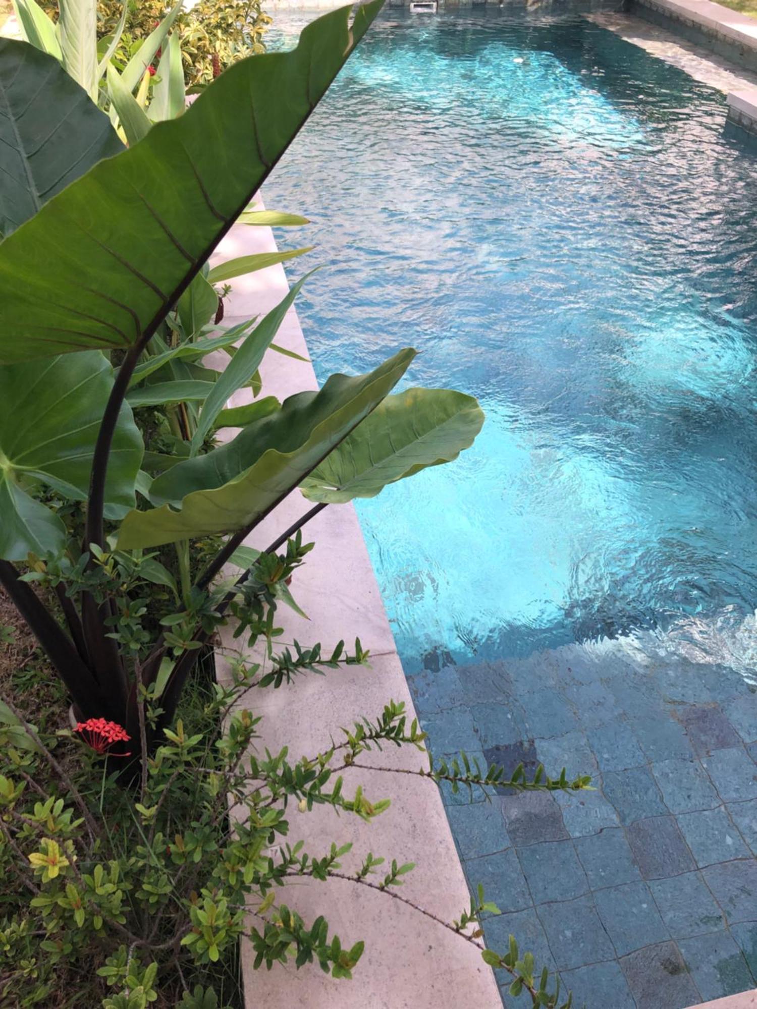 Villa Abhista Seminyak Kültér fotó
